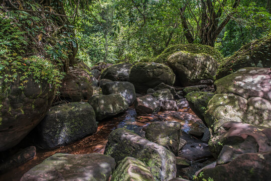 Green moss on sandstone rocks in Kinnaree Waterfall, Bueng Kan, Nong Khai Province, Thailand.