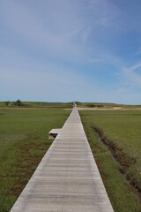 beach marshes boardwalk