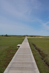Fototapeta na wymiar beach marshes boardwalk