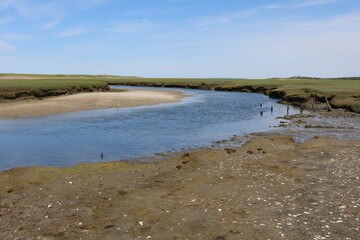 tidal marshes outside nature