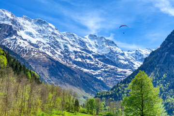 Obraz premium Paraglider in the blue sky. The sportsman flying on a paraglider. Leisure sports activity in holiday