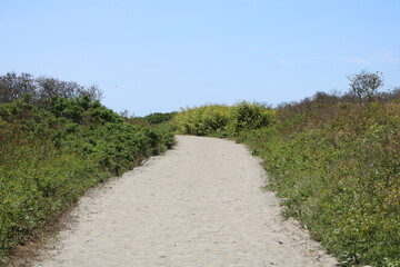 Fototapeta na wymiar sandy path to beach