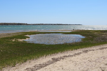 pond near the ocean