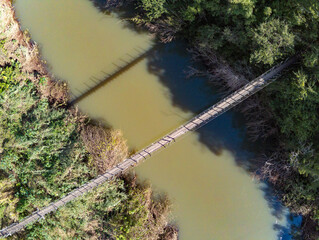 Log bridge over a small river and forest