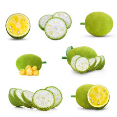Jackfruit  slices  isolated on white background