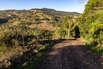 Dirty road with farm fields and forest over mountain