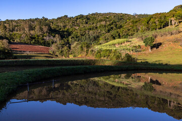 Farm fields with forest reflected in a lake