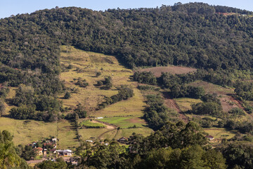 Fototapeta na wymiar Farm field with herd and forest around