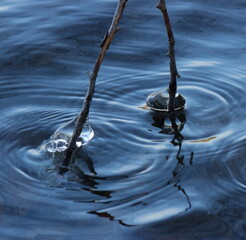 gla&ccedil;ons d'eau d'origine naturelle d&eacute;but de l'hiver
