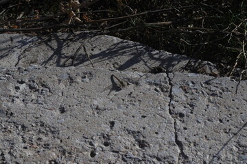 autumn pictures fall