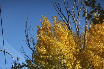 autumn pictures fall