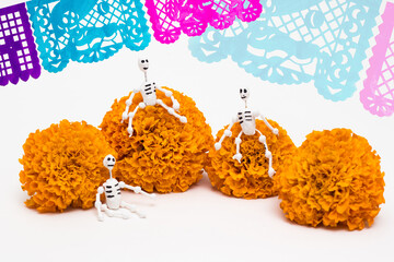 Day of the dead decoration, mini comic skulls with cempasuchil flowers, party invitation, copy space.