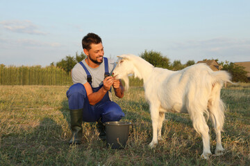 Man feeding goat at farm. Animal husbandry