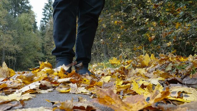 The man kicking the maple leaves on the ground that has been scattered in Estonia