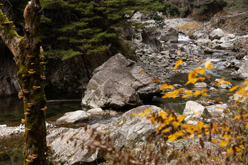 EOSRP.広島三段峡、大半は岩。