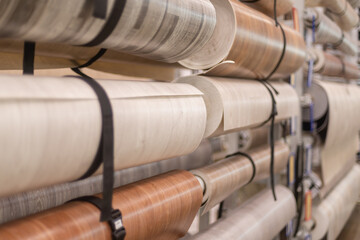 Linoleum of different colors in rolls in a construction store.