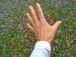 hand on the flowers background