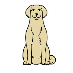 Golden Retriever ゴールデンリトリーバー