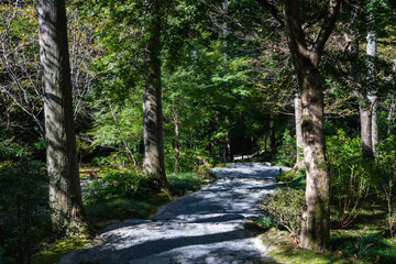 寺院の庭の小路