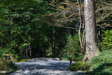 寺院の庭の小路