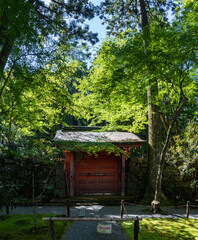 Naklejka premium 京都のお寺の小さなゲート 
