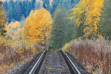 Fototapeta na wymiar Long railway line at autumn day.
