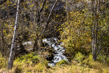 A small waterfall and stream in New Mexico's Pecos River Canyon State Park in the Sangre de Cristo Mountains