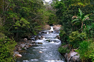 Rio em Monte Verde. Costa Rica.