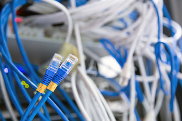 Close-up UTP LAN network cable and Lots of Ethernet cables background for connect computer and networking devices such as switch or hub modem router in rack cabinet.