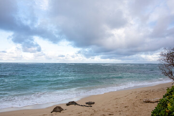 ocean waves on a sandy beach