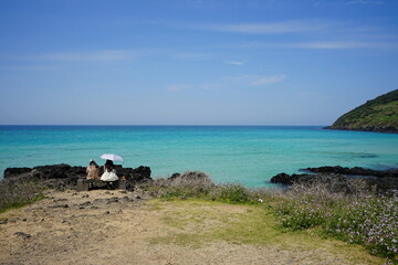 Obraz premium a fascinating seaside landscape with clear water