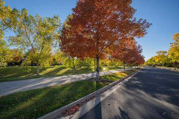 Obraz premium Neighborhood green belt during Autumn