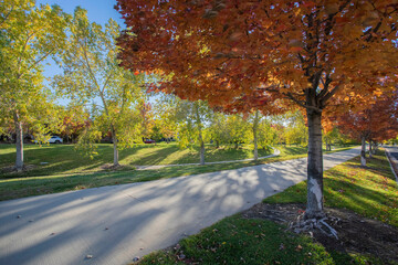 Beautiful trail with Autumn colors 