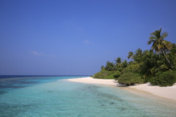 White Sandy Beach and Coconut Trees