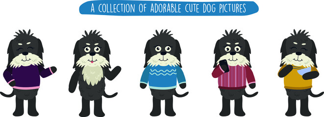 illustration of a set of animal