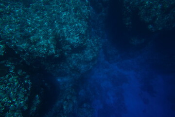 limestone cliffs and coral underwater. Philippines
