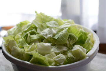新鮮なキャベツ