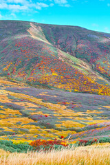 月山の紅葉（山形県）