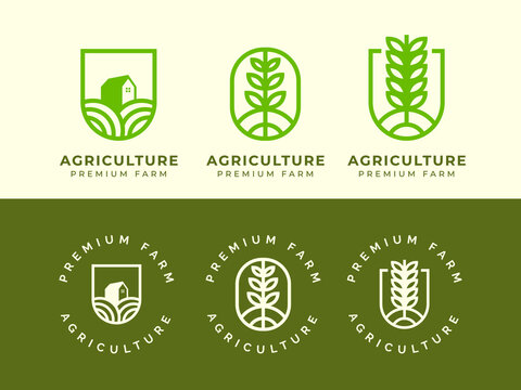 agriculture and farm logo design concept