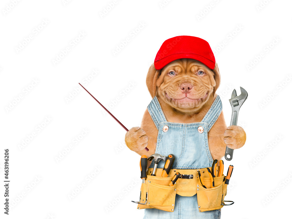 Poster Smiling puppy worker wearing red cap and overalls with tool belt holds adjustable wrench and points away on empty space. Isolated on white background