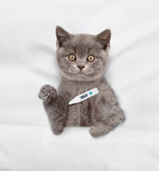 Sad sick kitten holds a thermometer under the paw lies under white warm blanket on a bed at home....