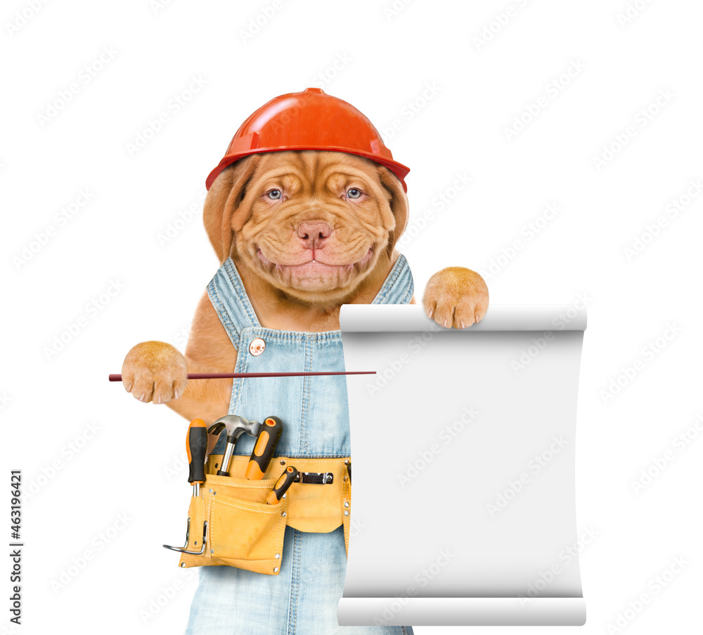 Poster Funny puppy wearing hard hat and  overalls with tool belt points on empty list. Isolated on white background