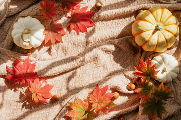 A  hazelnuts, red maple leaves and mini pumpkins on a knitted blanket. Autumn background with copy space.