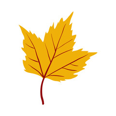 Yellow Maple tree leaf clip art