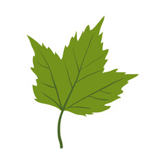 Maple tree leaf clip art