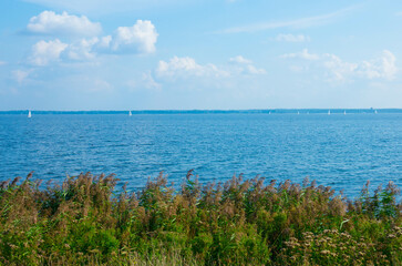 The Veluwemeer in the Netherlands. View of the lake with reed in the foreground against blue sky. Gelderland Province, The Netherlands. Place for text.