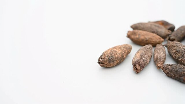angle pan herb MuDingXiang or Flos Caryophyllata or Clove
