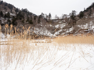 park national park in winter