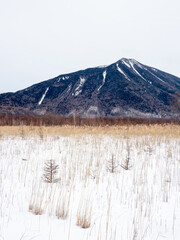 mountain in winter