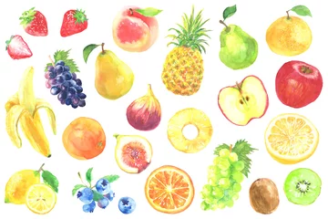 Fotobehang 水彩で描いたいろいろな果物のイラストセット © yokoobata
